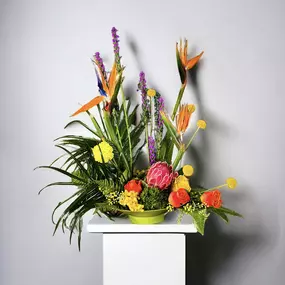 Bild von My Little Posy