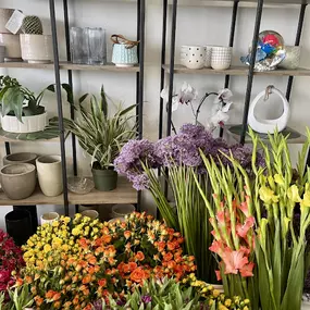 Bild von My Little Posy