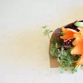 Bild von My Little Posy