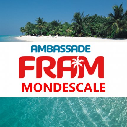 Logo de Ambassade FRAM - Mondescale - Maurepas