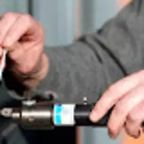 Bild von All Star Lockout