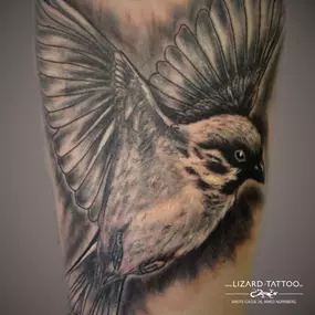 Bild von Lizard Tattoo Studio