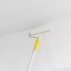 Bild von Chat Lamala Peinture Sàrl