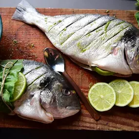 Zwei frische Fische werden mit Limettenscheiben und grünen Blättern kunstvoll angerichtet. Die Komposition betont natürliche Zutaten, kräftige Farben und handwerkliche Zubereitung.