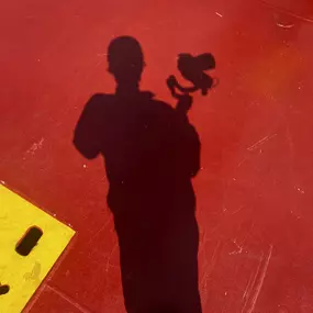 Kreativer Moment bei der Aufnahme – Fokus, Bewegung und Licht vereinen sich zu dynamischen Filmsequenzen.