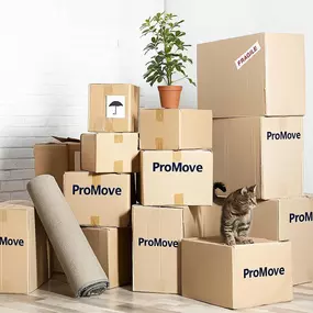 Bild von ProMove Removals and Storage