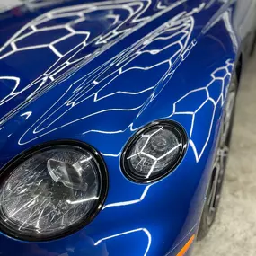 Bild von Logan's Auto Detailing & Coating