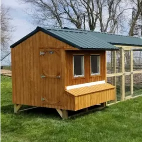 Bild von The Backyard & Beyond