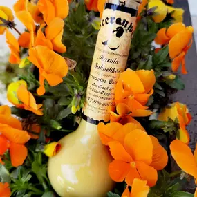 Bild von Beerenweine Österreich