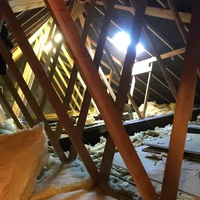 Bild von Through the Roof Loft Conversions