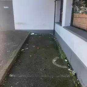 Bild von Malone House Clearance