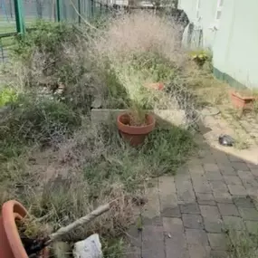 Bild von Malone House Clearance