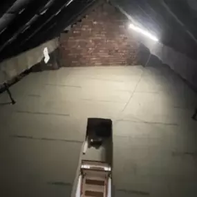 Bild von Lofts & Land Co