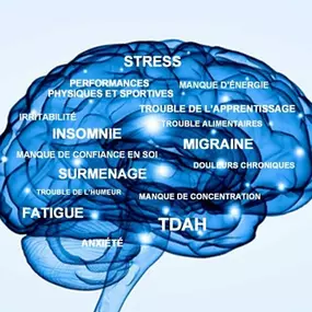 Bild von CENTRE NATIONAL DE FORMATION EN NEUROFEEDBACK