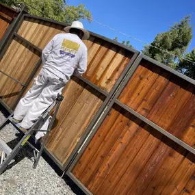 Infinity Painting, your trusted local painting experts serving Salinas, CA