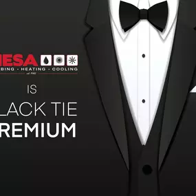 Bild von Mesa Plumbing, Heating and Cooling