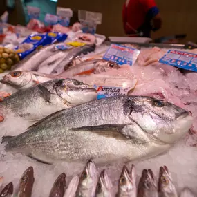 PESCADOS_en_MADRID_LA_SIRENA_DE_ROSA.jpg