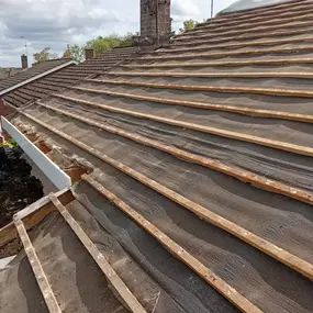 Bild von Proline Roofing Ltd