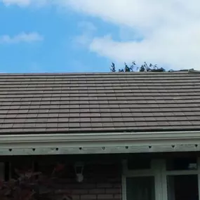 Bild von New Look Roofing Installations Ltd