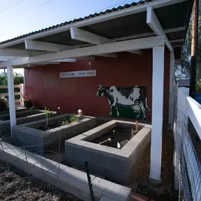 Quality Interactive Preschool & Montessori Garden Area