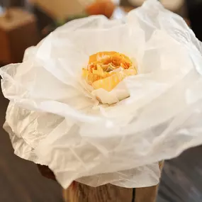 Bild von Kopffüssler Töpfer- und Kreativwerkstatt