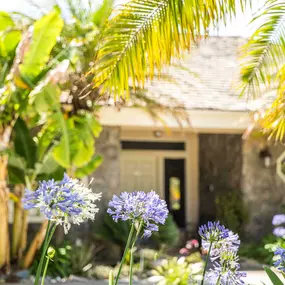 Bild von AMFM Mental Health Treatment