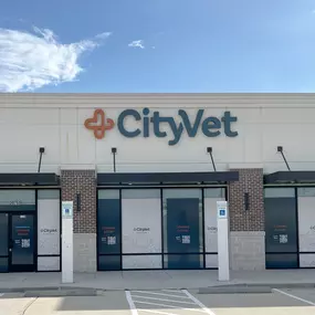 Outside of CityVet | Spring