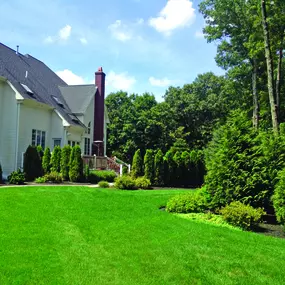 Bild von NaturaLawn of America