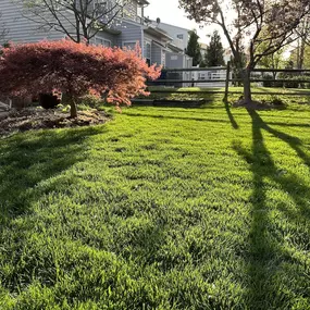 Bild von NaturaLawn of America