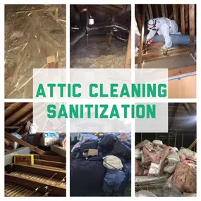 Insulation Removal & installation