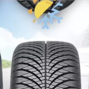 Bild von PNEUHAUS ARIFA SABANI GD