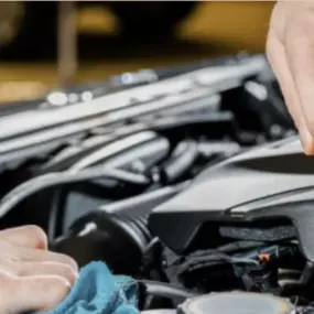 Bild von PNEUHAUS ARIFA SABANI GD