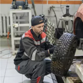 Bild von PNEUHAUS ARIFA SABANI GD