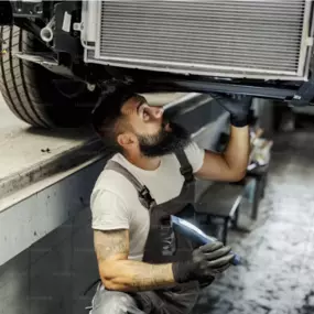 Bild von PNEUHAUS ARIFA SABANI GD