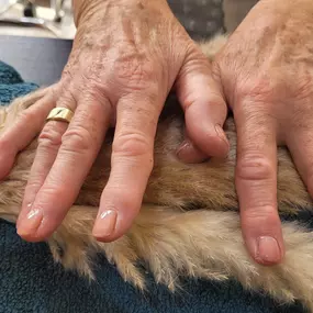 Bild von Disha s Beauty  Skin Hairs Nails Aesthetics Acrylic Nails Chelmsford