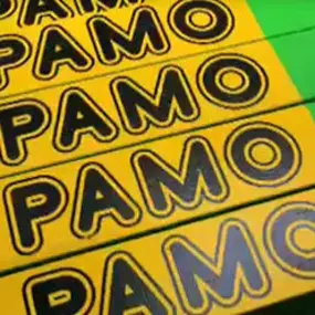 Bild von Pamo Ponteggi SA