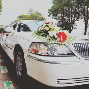 Bild von Limousine service company