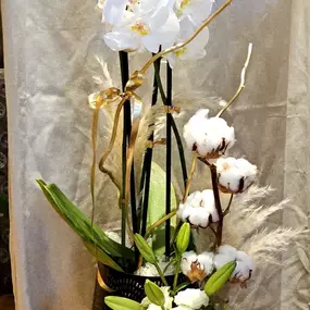 Bild von Blumengeschäft Blattmaus