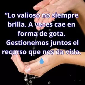 236357349-1-w7gzHK1SzX1759915620503.png