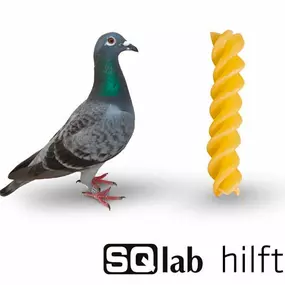 Bild von Velo am Ostbahnhof GmbH