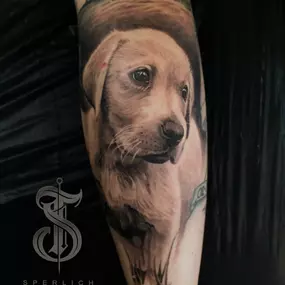 Bild von Sperlich Tattoo Studio Leipzig