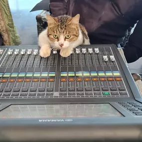 Bild von TuttoMusica