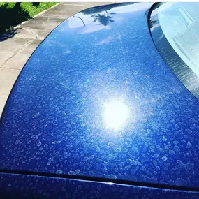 Bild von Like New Car Detailing