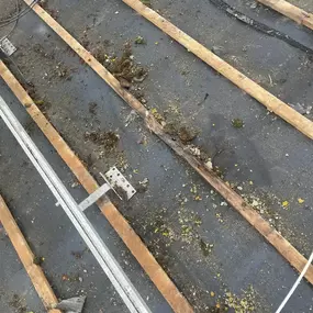 Bild von Quick Roofs and Building Services Ltd