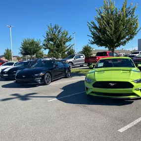 Bild von McLarty Daniel Ford