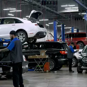 Bild von McLarty Daniel Ford