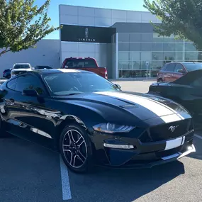 Bild von McLarty Daniel Ford