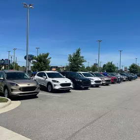 Bild von McLarty Daniel Ford