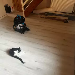 Bild von Mal Property Maintenance Ltd