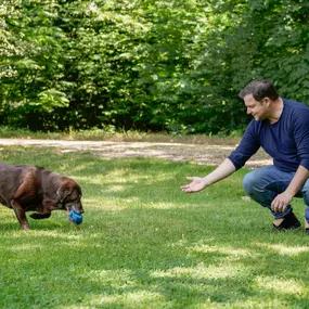Martin Rütter Hundeschule Mainz / Bad Kreuznach zeigt Apportiertraining mit positiver Verstärkung. Der Hund bringt das Spielzeug zurück – Motivation und Bindung im Fokus.